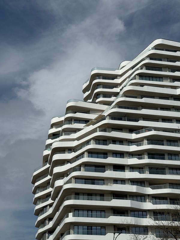 Morning scenes captured around Burgas: dogs, tulips, modern architecture