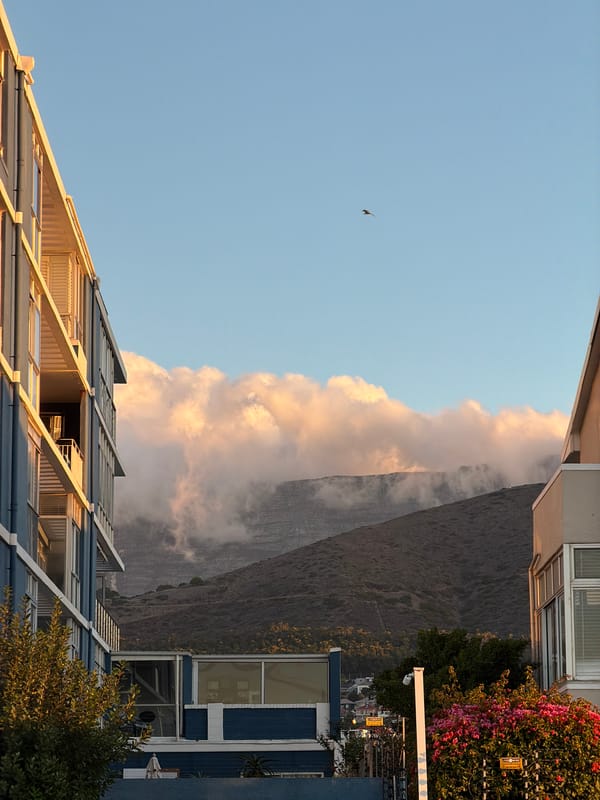 Cape Town coastal scenes captured during golden hour
