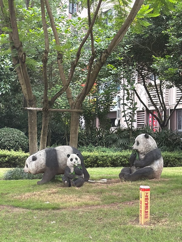 Morning park maintenance and daily life in Chongqing residential area