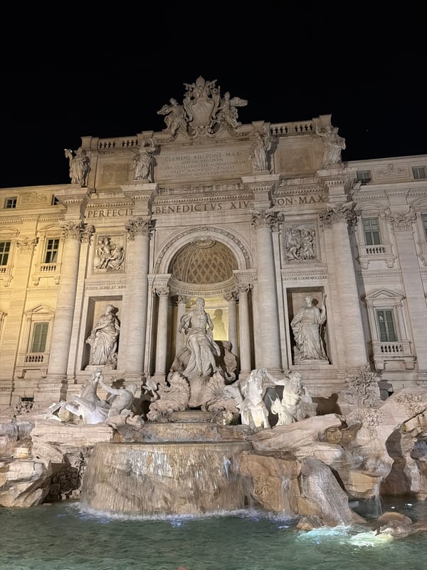 Evening scenes captured at Rome's Trevi Fountain and wine cellar