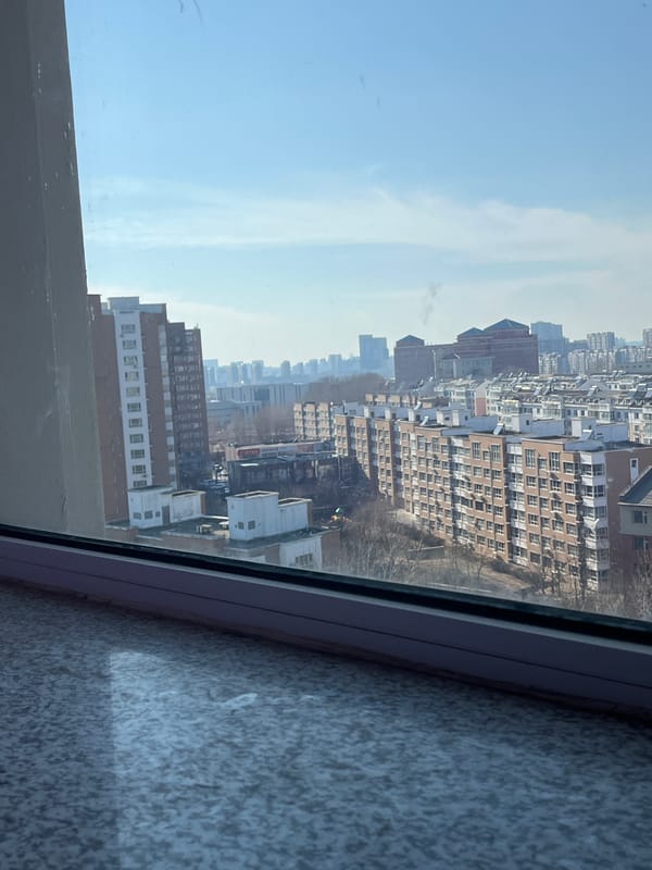 Morning window views capture Changchun's dense apartment landscape