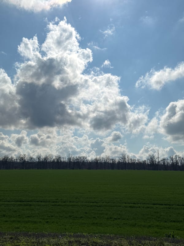 Rural landscape views captured near Poputnaya, Russia