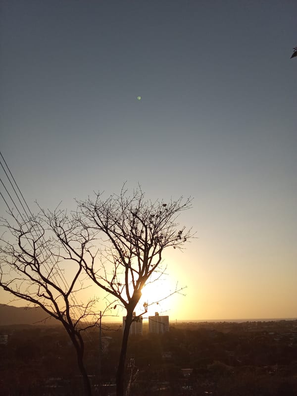 Witness documents sunset landscape and vegetation in Juan Griego