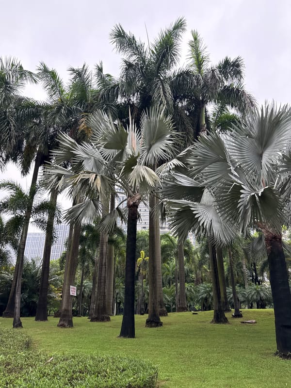 Evening stroll through Haizhu's riverside park, Guangzhou