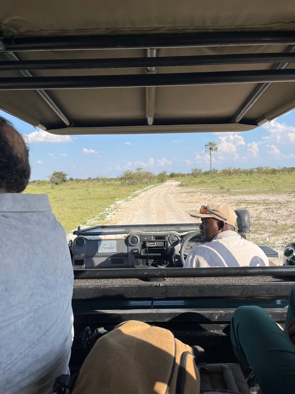 Safari tourists spot zebras near Gucta, Botswana
