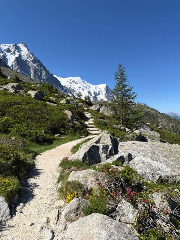 Summer morning on the trails above Chamonix, Alps in full bloom