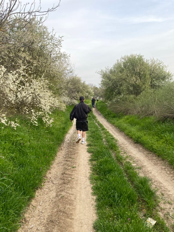 Two walkers traverse rural path in Vetovo, Bulgaria
