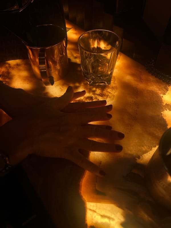 Late night gathering at Vienna brasserie captured by witnesses