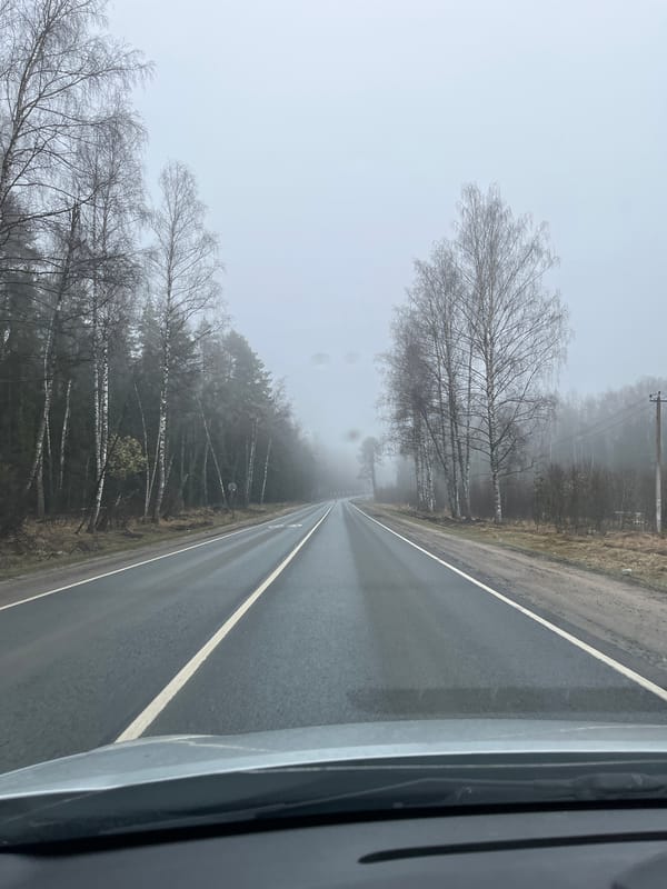 Vehicle travels foggy morning road in Slobodka, Russia