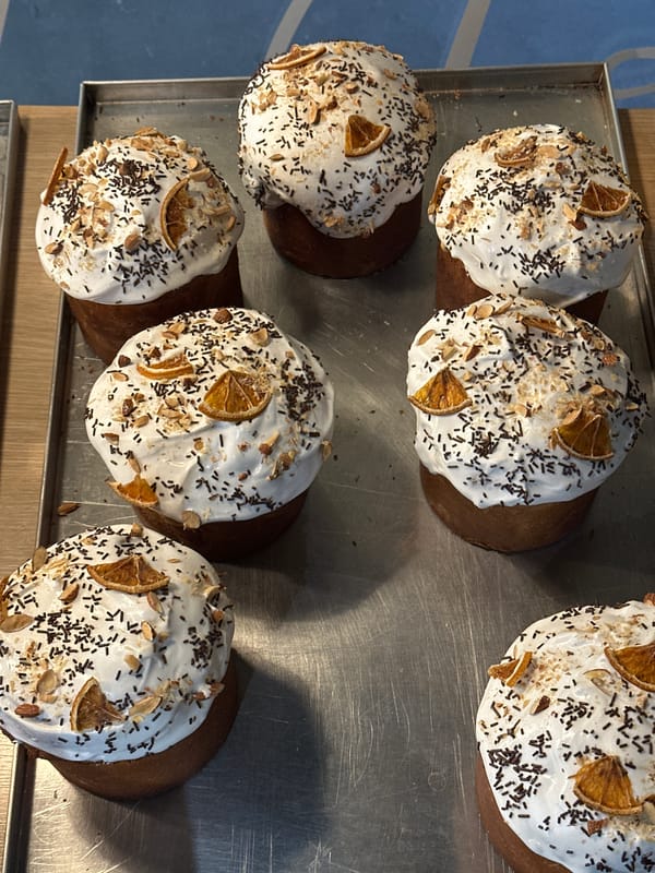 Woman documents casual stroll through downtown Novi Sad with selfies