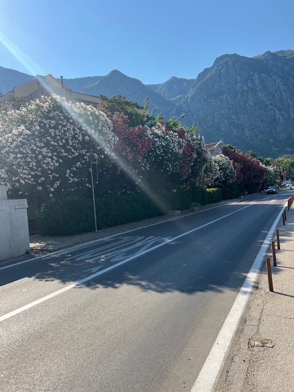 Risan's Bay of Kotor waterfront on a bright summer morning