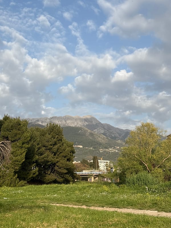 Quiet moments captured in Bar: landscapes and resting cat