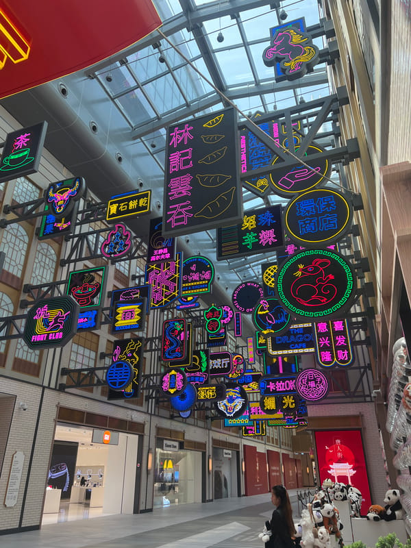 Early morning scenes documented across Dubai Mall's various sections