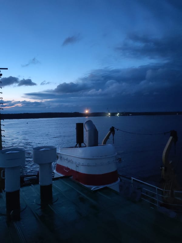 Ship passenger views sparse coastline near Shalsky, Russia