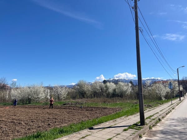 Agricultural workers tend field in rural Berkovitsa, Bulgaria