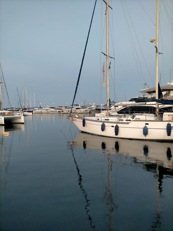 Marina at dusk: boats, palm walkways, and a few odd detours