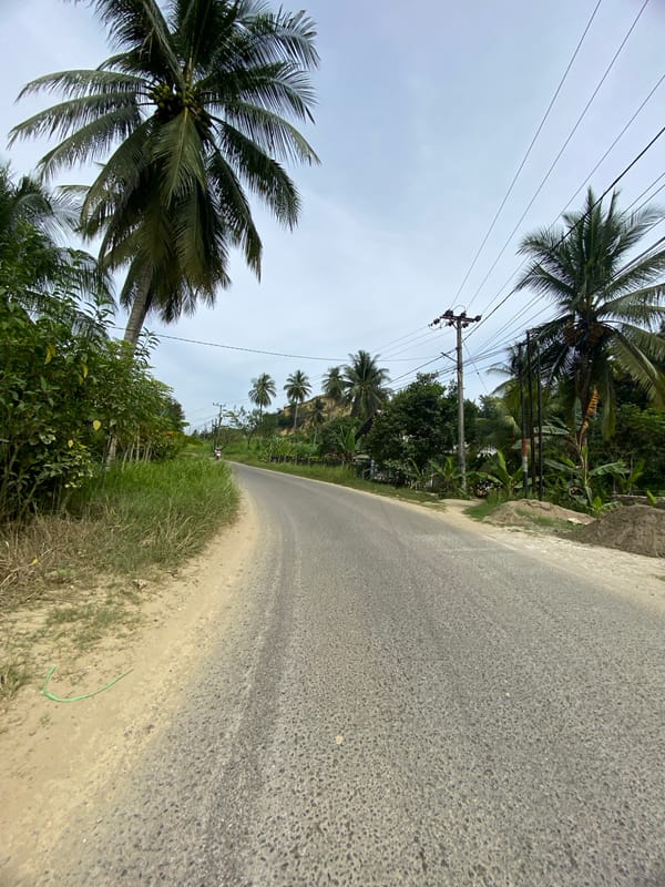 Everyday street life along a tree-lined road in Lhokseumawe