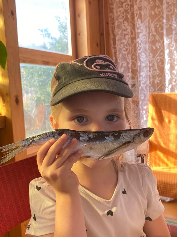 Playing with dried fish at table in Votkinsk