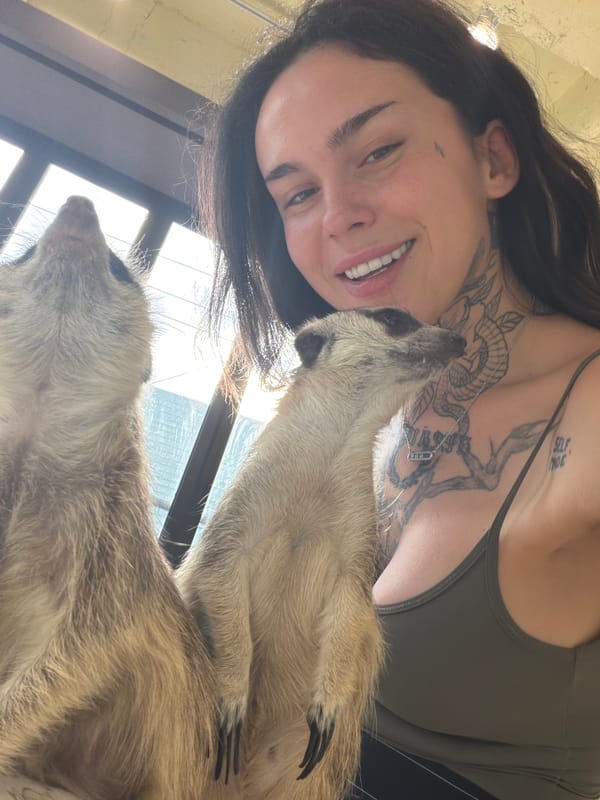 Seoul visitors pose with decorated meerkats at animal facility