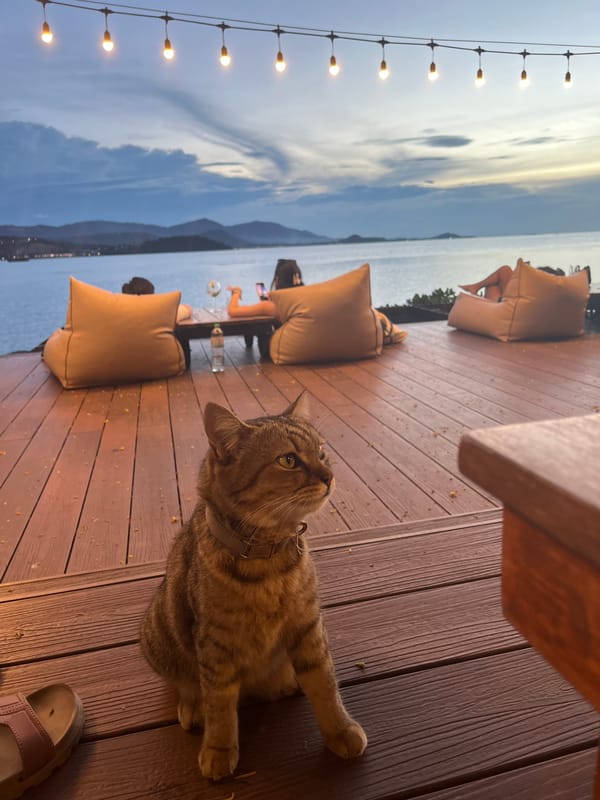 Sunset deck vibes in Baan Plai Laem, cat included