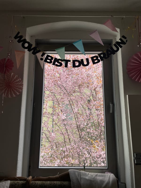 Spring blooms visible through Berlin window