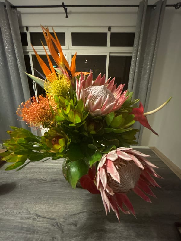 Evening documented in Câmara de Lobos with flowers, lights