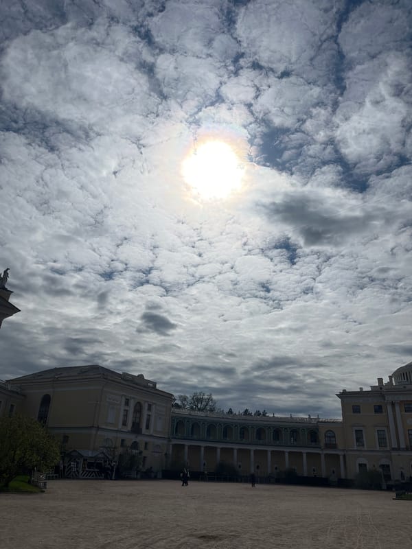 Ordinary afternoon at Pavlovsk Palace features carriages and strawberries
