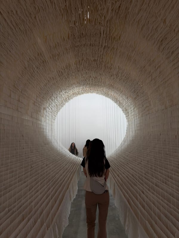 Miami art gallery tour documented across multiple venues