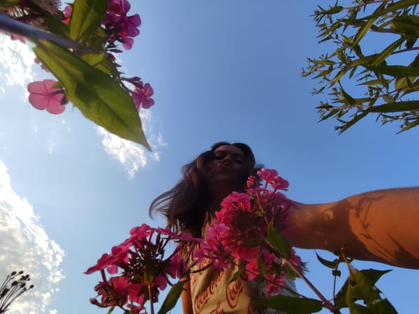 Sunny afternoon in a Russian field, flowers and sky.