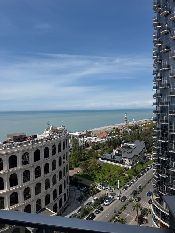Elevated views of Batumi's coastline and architecture documented