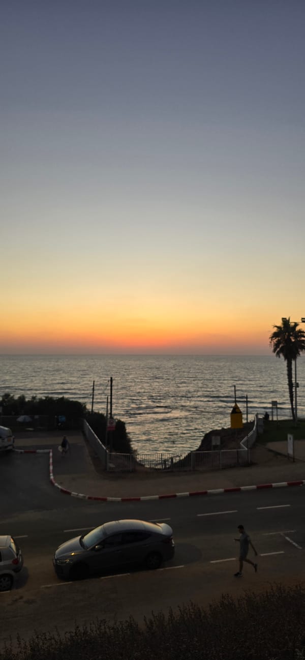 Cats and coastal light at sunset in Bat Yam