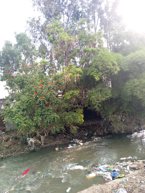 Polluted river filled with debris observed in Nairobi