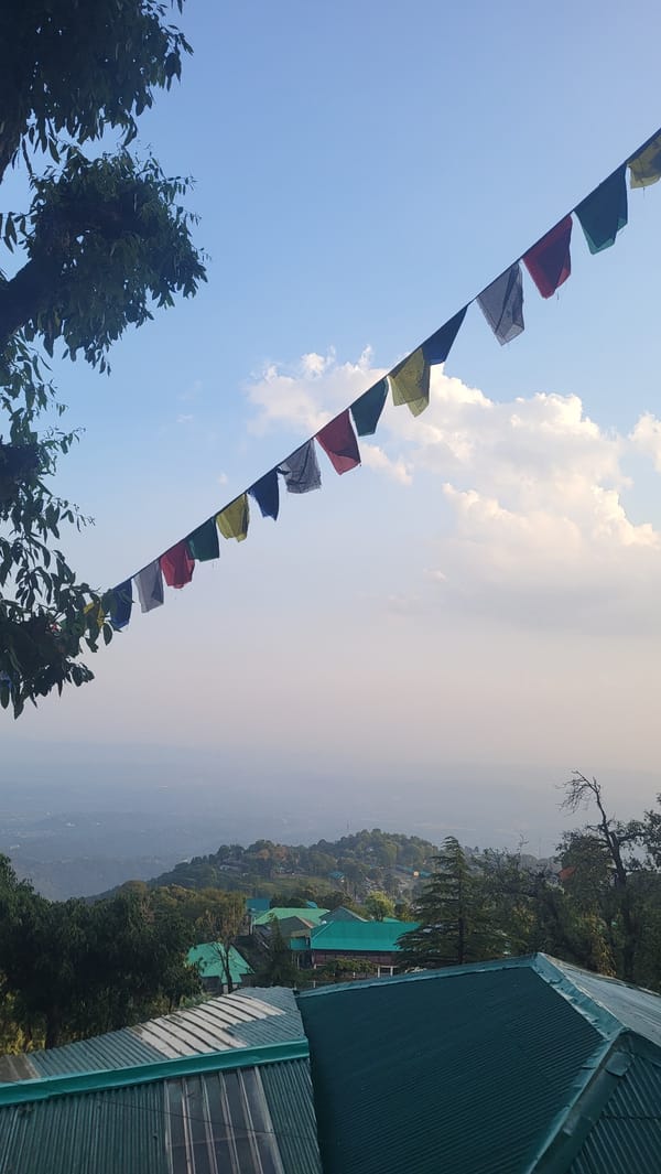 Hillside walk documented through Dharamkot and Naddi forest villages