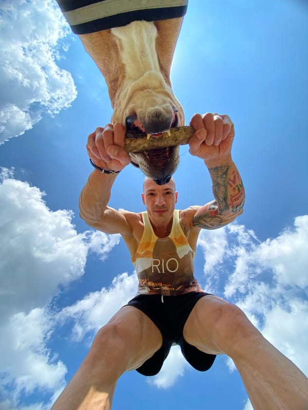 Man plays tug-of-war with dog in Pleven, Bulgaria