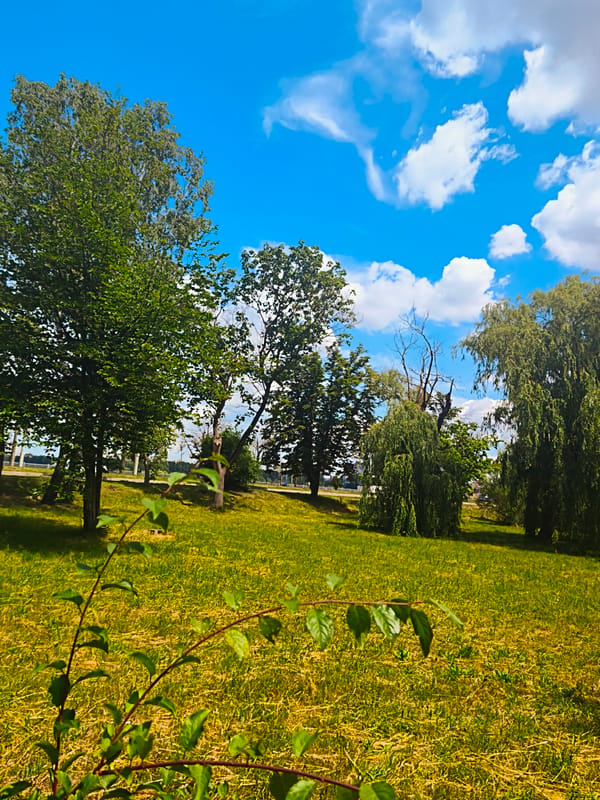Sunny morning along Ternopil's waterfront parks and gardens