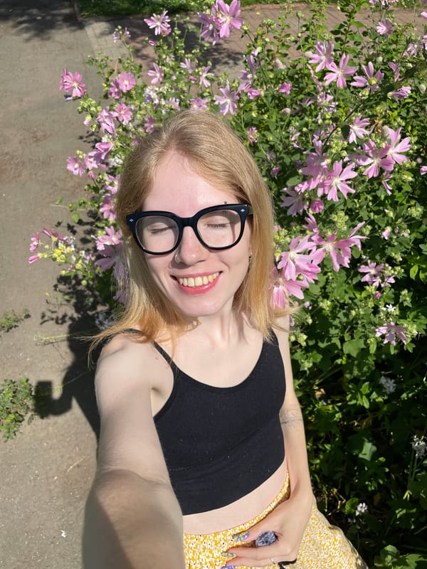 Sunny morning among pink mallow flowers in Izhevsk