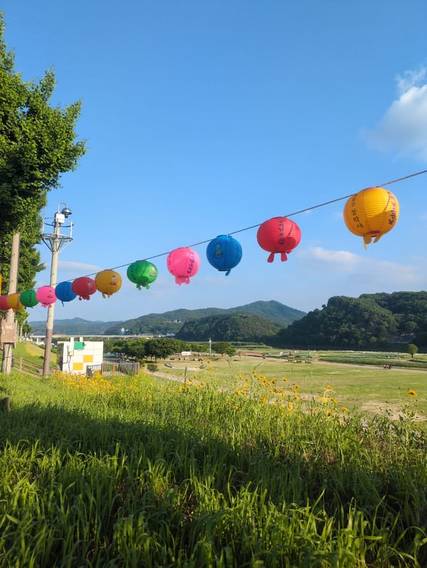 Morning lantern displays and street life observed in Gongju-si