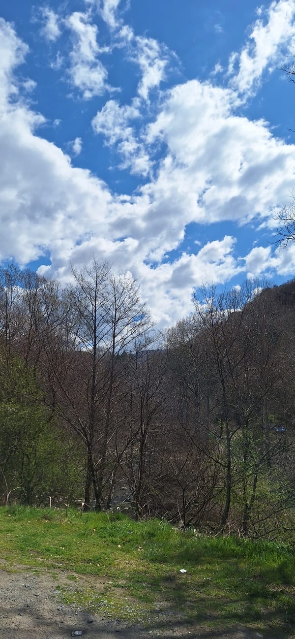 Spring mountain roadside scenery documented in Rila, Bulgaria