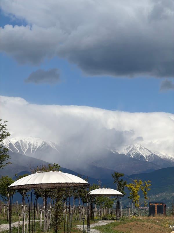 Mountain scenery and frog spotted in Kocherinovo, Bulgaria