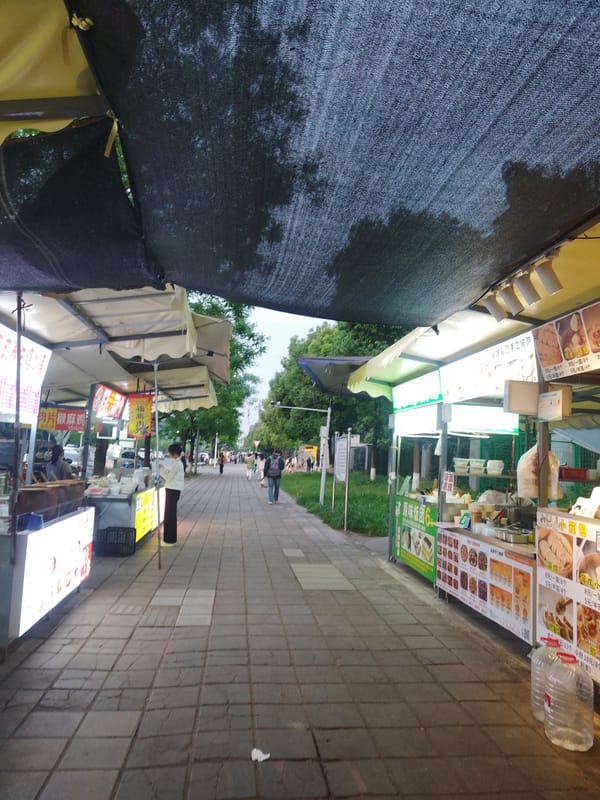 Street market activity documented in Shapingba District, China