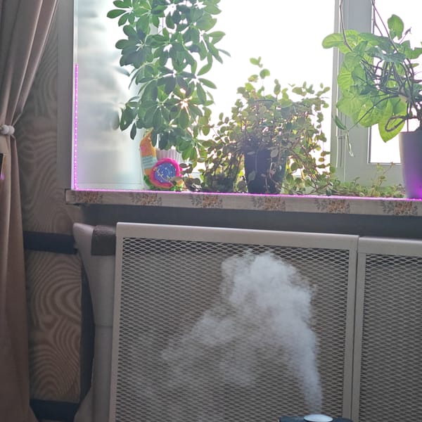 Morning home scenes captured in Russian household