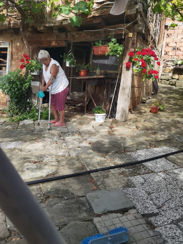 Slow morning in a Bulgarian village courtyard