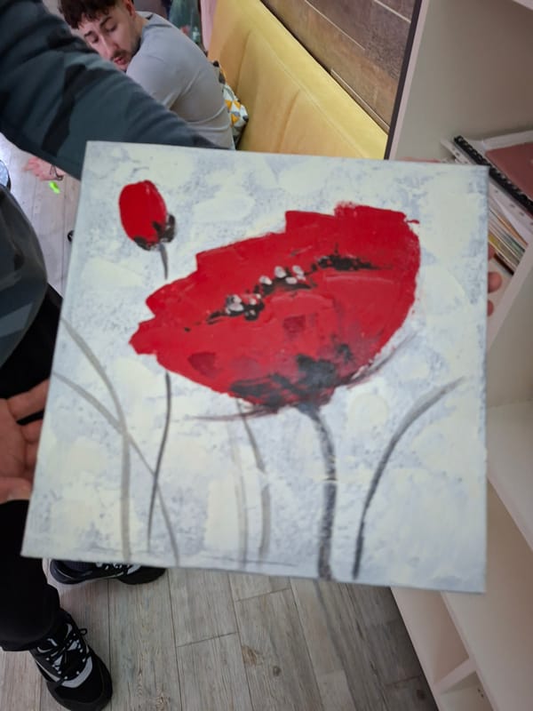 Person displays artwork and decorations at Nova Zagora residence
