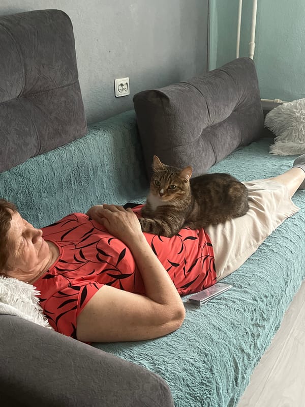 Woman and tabby cat share quiet moment in Izhevsk home