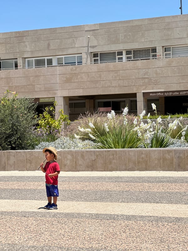 Stone sculptures and street scenes at a public space in al-Eizariya