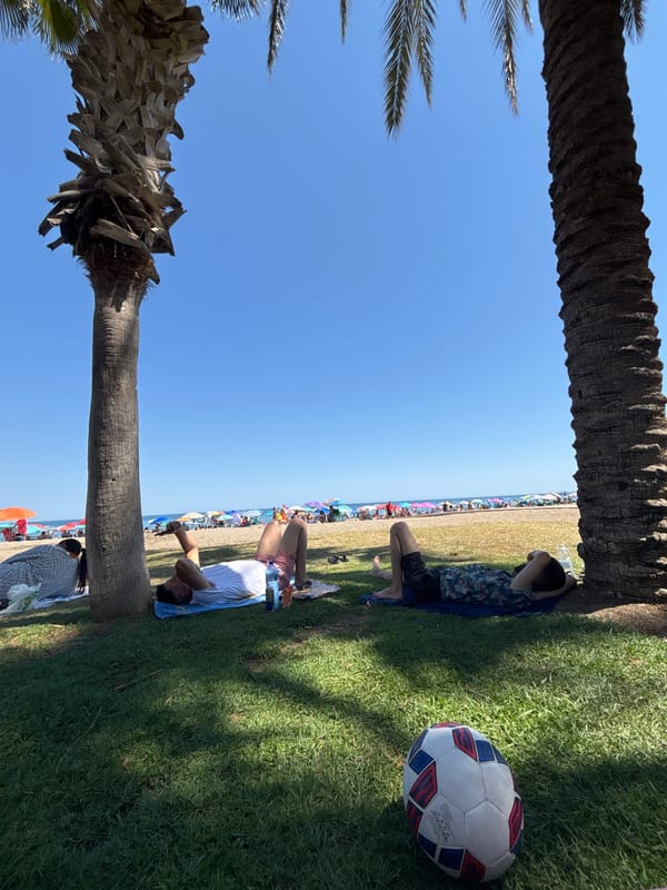 Leisurely afternoon captured at Málaga park with dog, soccer ball