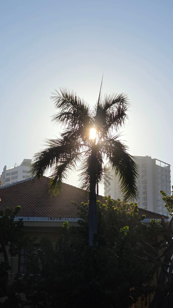 Morning life captured in Nha Trang beaches and streets