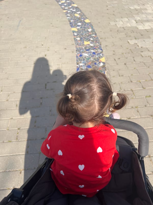 Child in stroller, tethered horse observed in Jerusalem