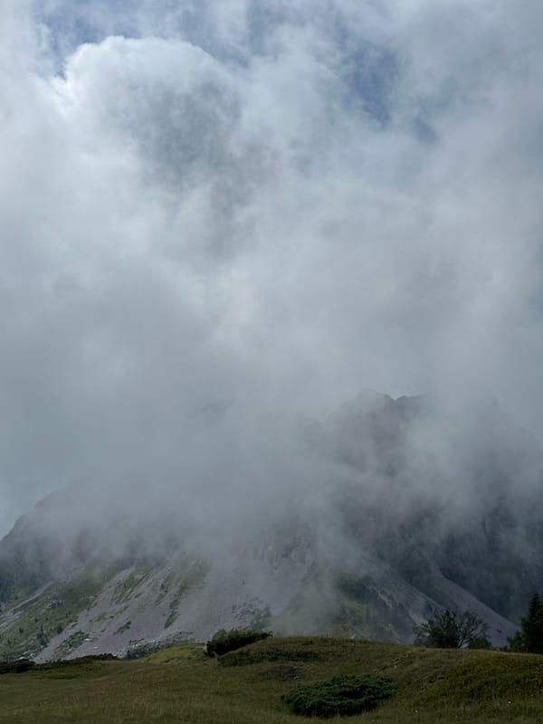 Foggy morning at a Montenegrin highland pasture with horses and cabins