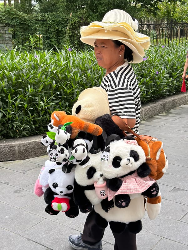 Panda plush toys carried along a Jiulongpo path